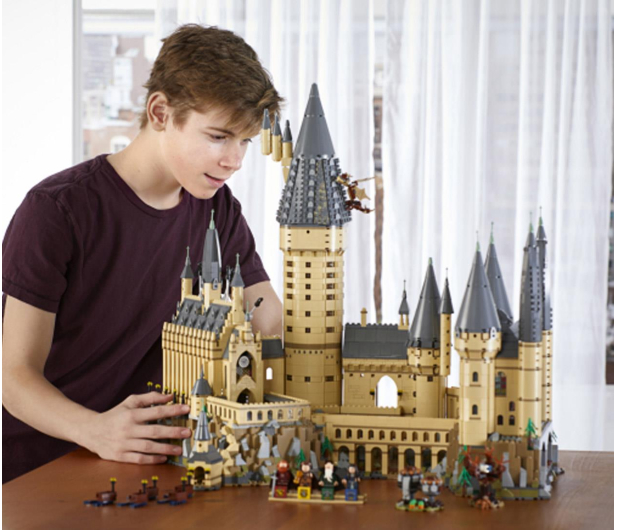LEGO Harry Potter 71043 Zamek Hogwart - 482747 - zdjęcie 10